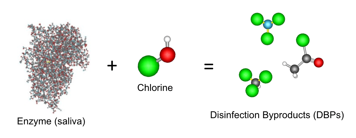 Enzyme (saliva)